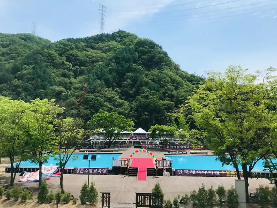 사람보다 나무가 많은 곳, 강원 숲속 캠핑장 BEST 대표 사진
