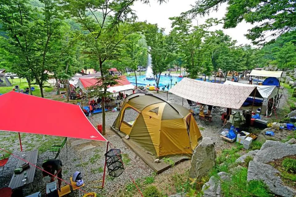 “같이 가도 괜찮아요” 전북 반려견 동반 캠핑장 BEST 대표 사진