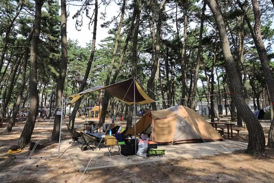 아침에 눈뜨면 바다, 전북 해변 캠핑장 BEST 대표 사진