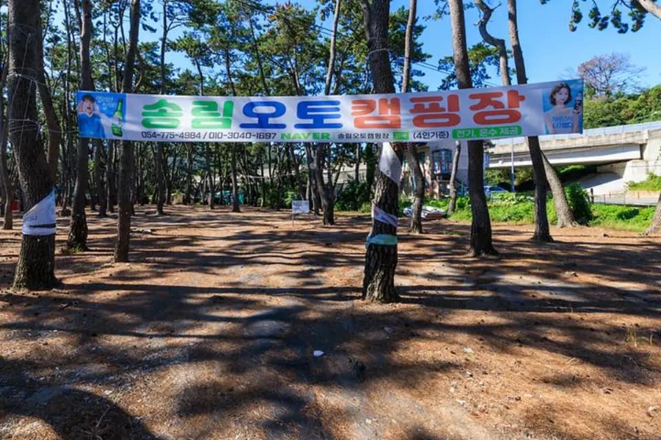 아침에 눈뜨면 바다, 경북 해변 캠핑장 BEST 대표 사진