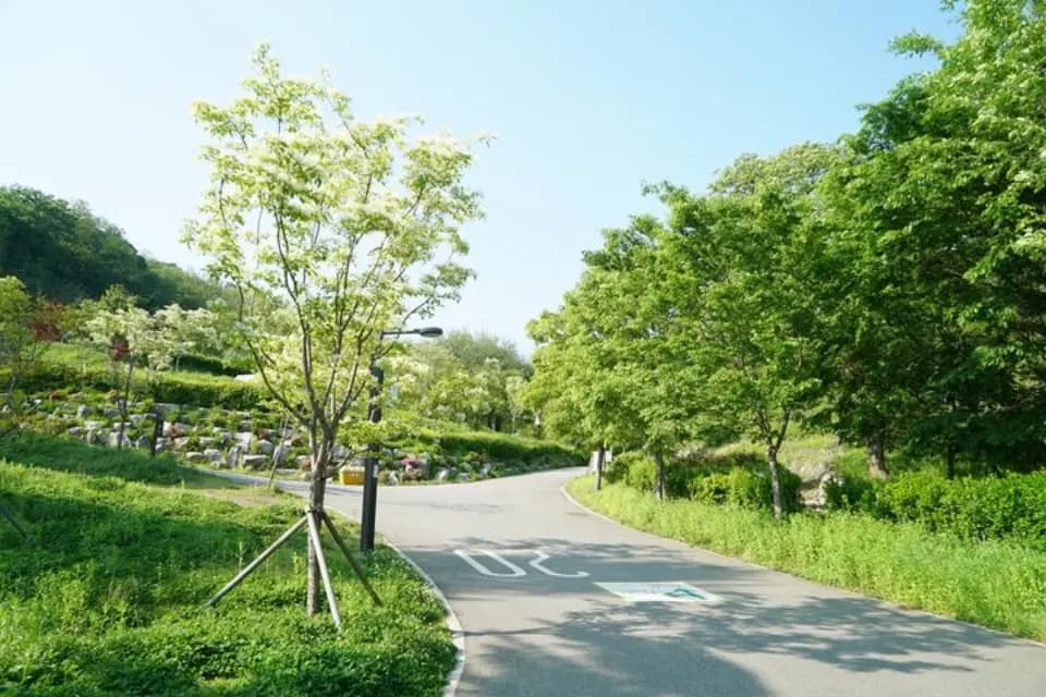 전기 걱정 없이 편하게, 서울 캠핑장 BEST 대표 사진