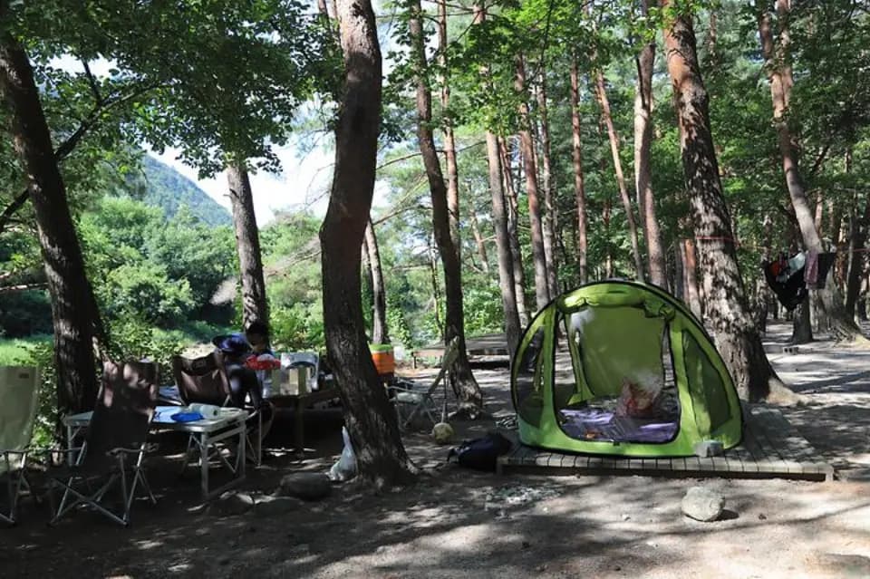 강원 캠핑장 전경