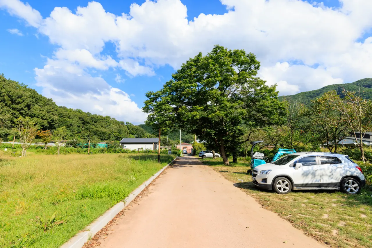 송림 힐링캠핑장 전경