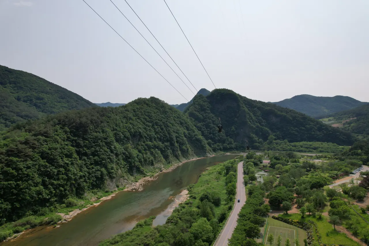 정선 펫 캠핑장 전경