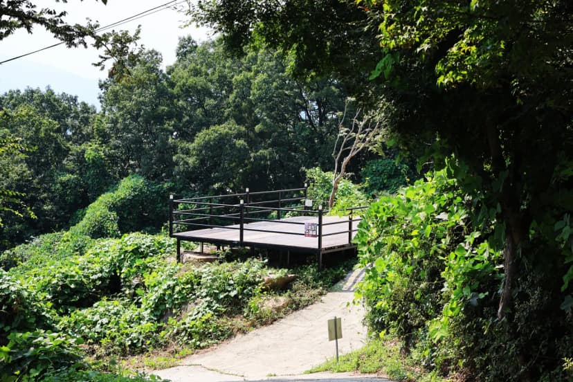 약수동산 사진 9