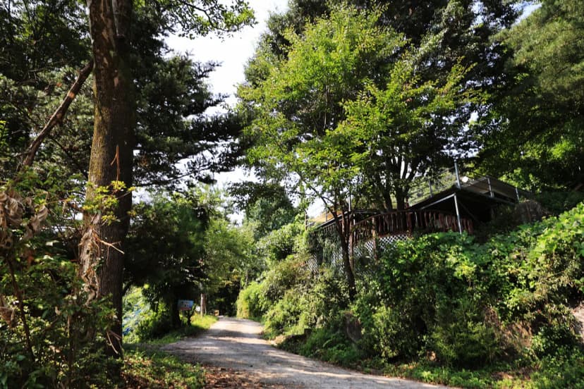 약수동산 사진 10