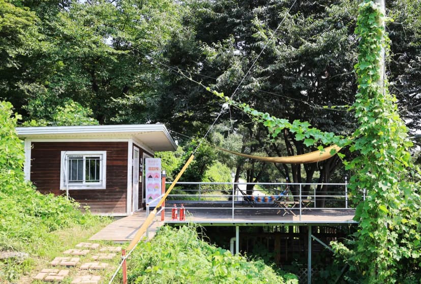약수동산 사진 16