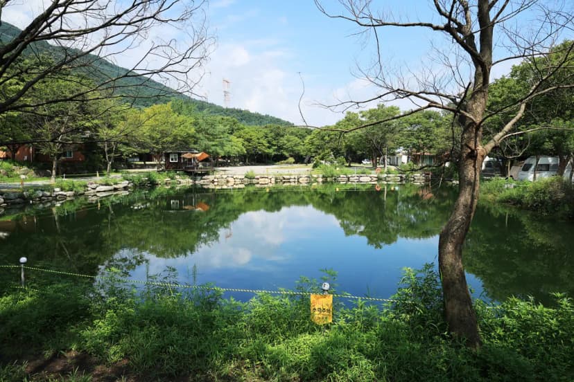 밤벌캠핑장 사진 4