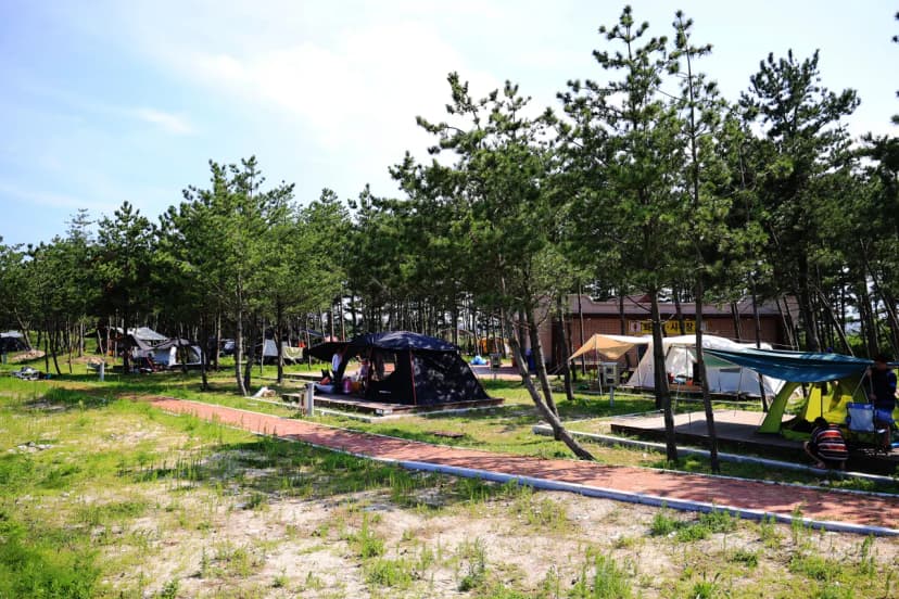 자작도캠핑장 사진 5