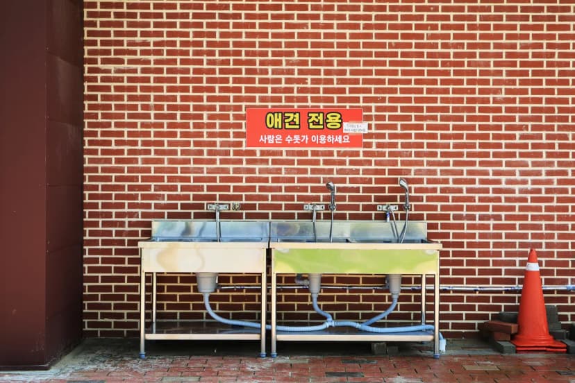 자작도캠핑장 사진 10
