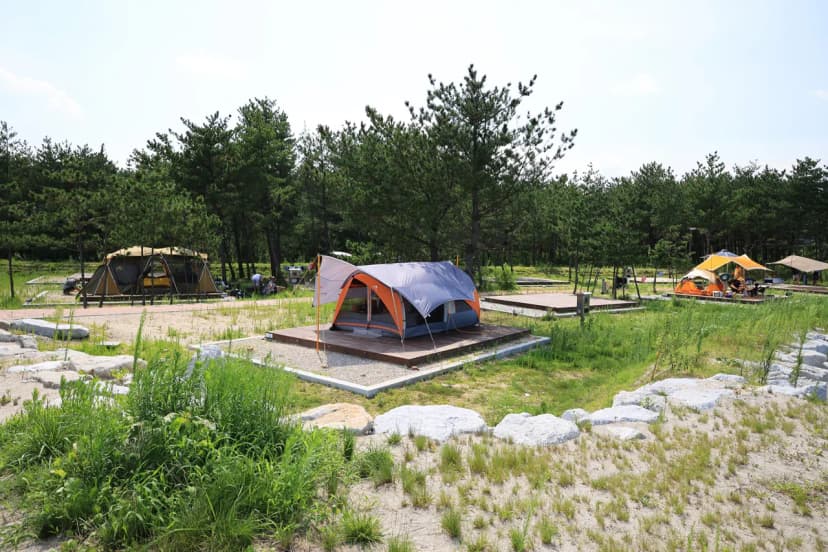자작도캠핑장 사진 12