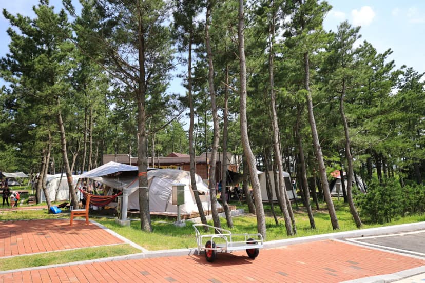 자작도캠핑장 사진 13