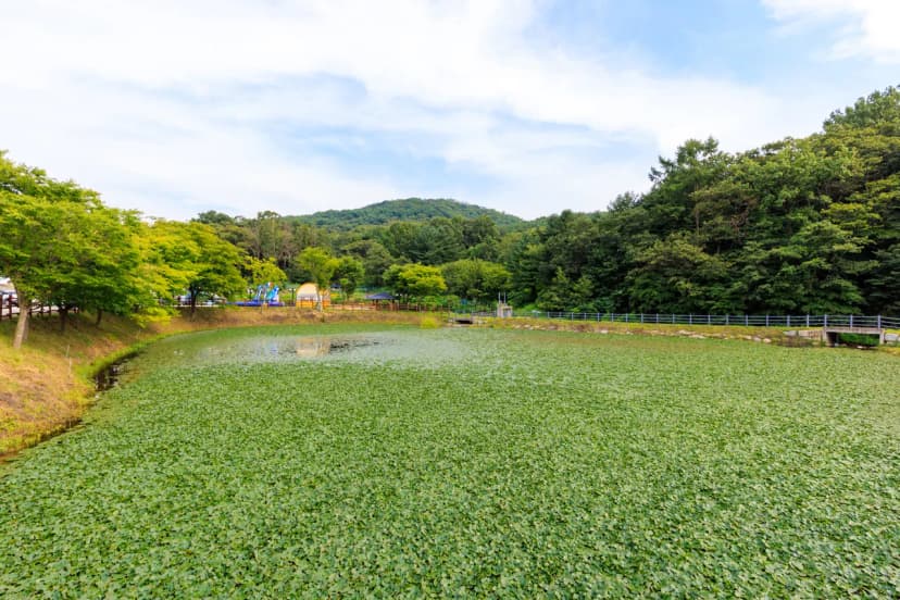 하늘아래 수성별사랑캠프 사진 20