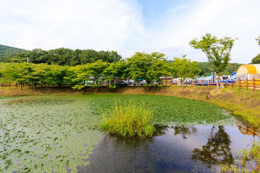 하늘아래 수성별사랑캠프 사진 21