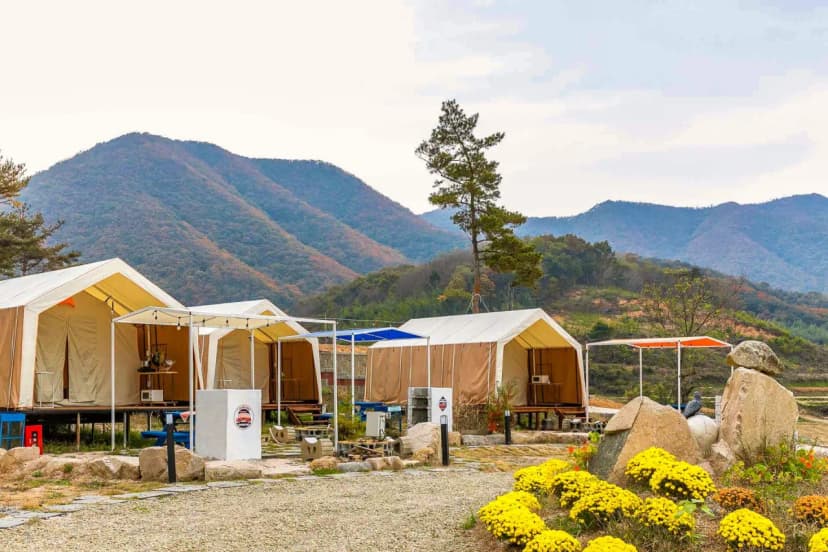 달빛오름 경주 사진 4