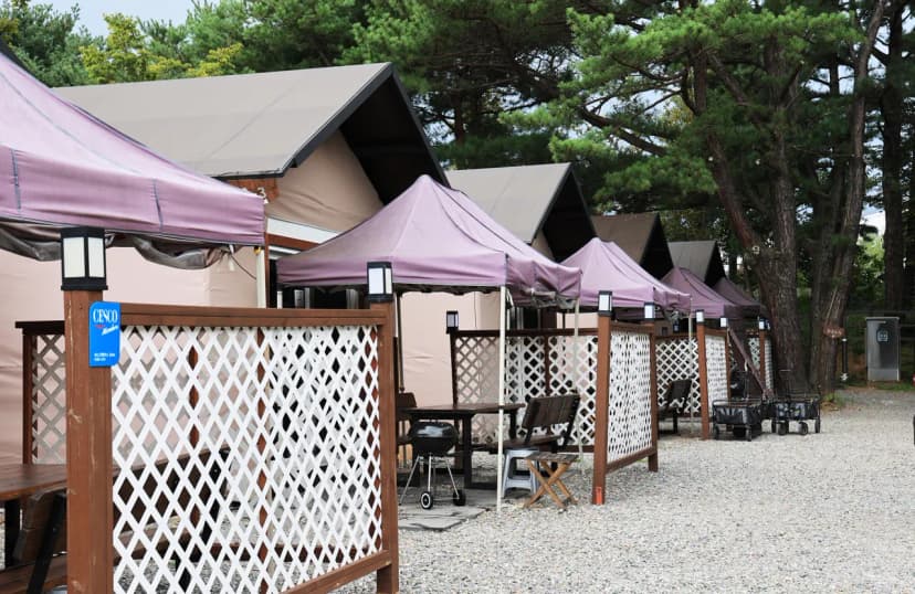 수원 솔내음 캠핑장 사진 6