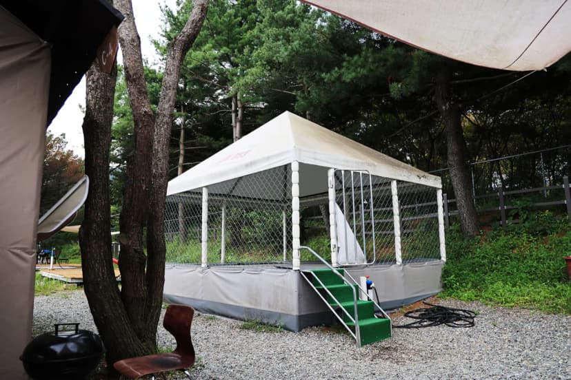 수원 솔내음 캠핑장 사진 8