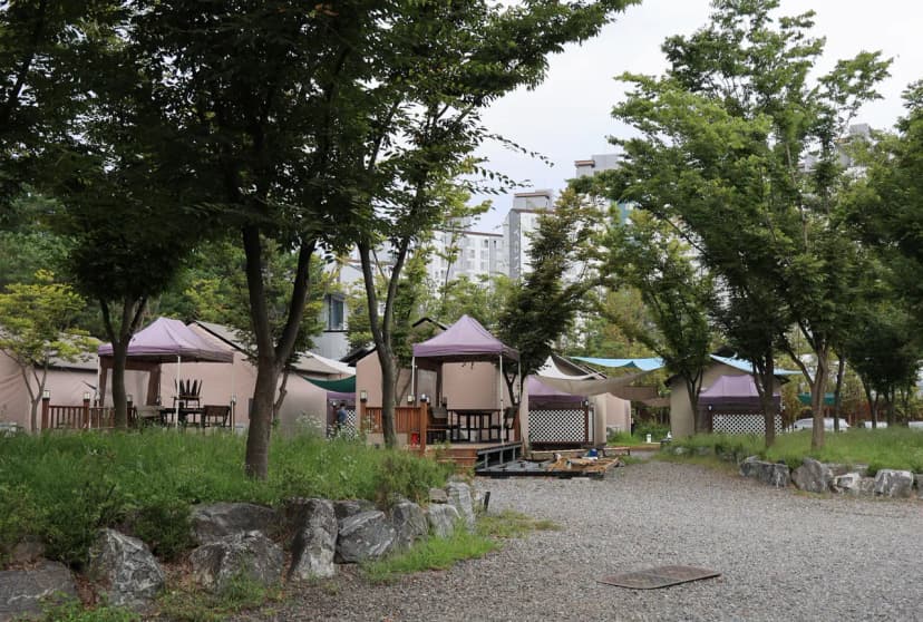수원 솔내음 캠핑장 사진 11