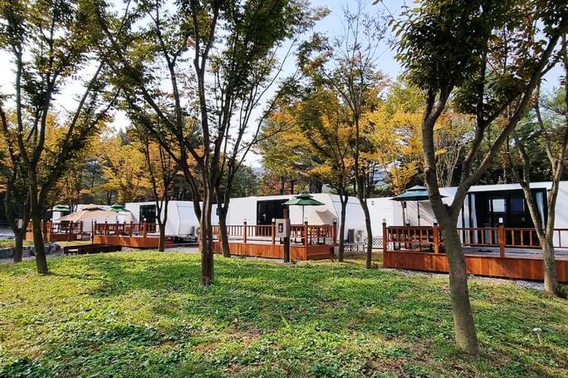 수원 솔내음 캠핑장 사진 18