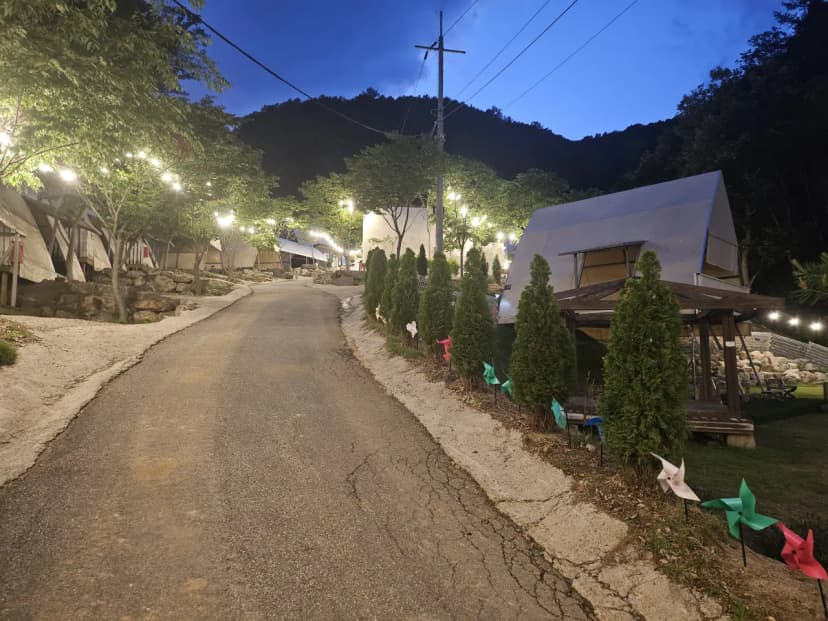 숲이야기 사진 5