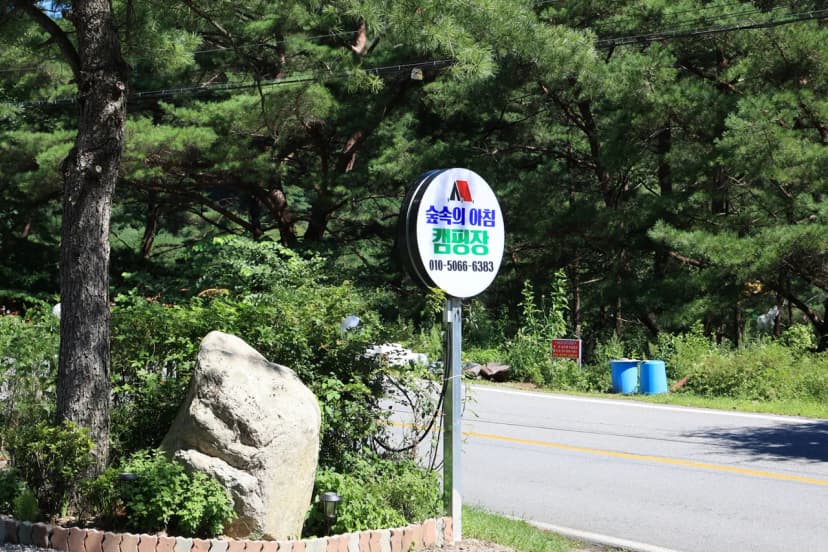 숲속의아침 사진 4