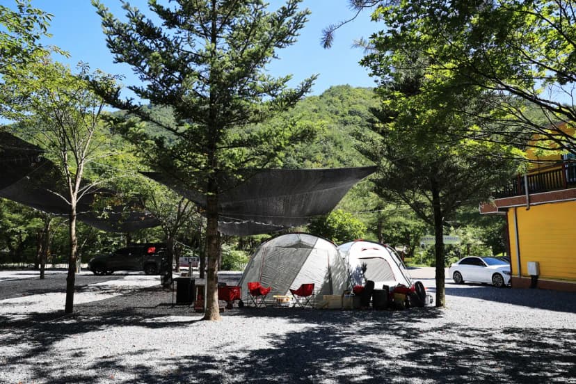 숲속의아침 사진 12