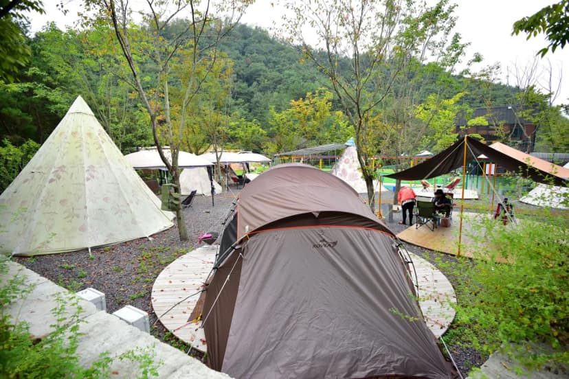 한별 도그파크 사진 15