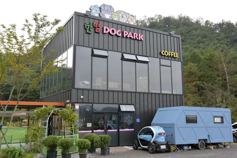 한별 도그파크 사진 19