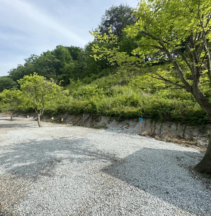 노문 야영장 사진 14