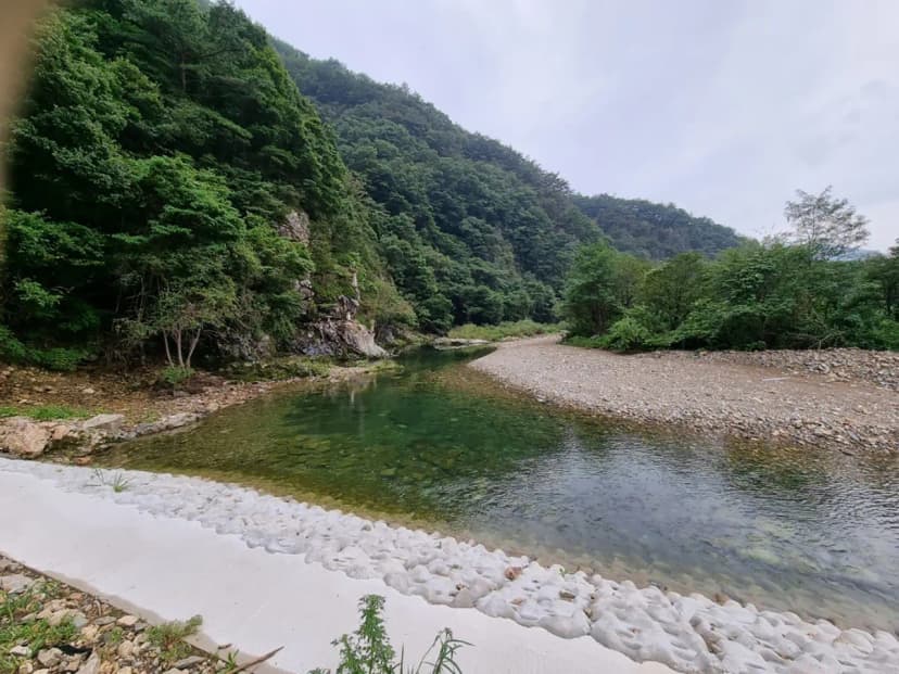 부엉캠핑클럽 사진 15