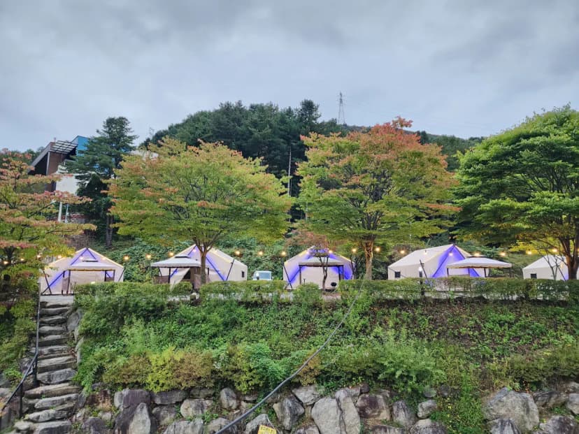 달빛정원글램핑&카라반 사진 15