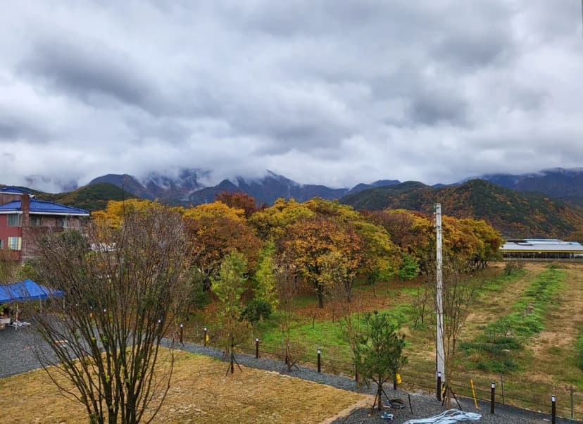 레끄레오캠핑장 사진 12