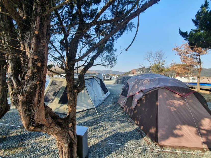 아메리카 RV CAMP PARK 사진 6