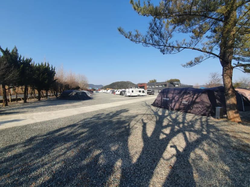 아메리카 RV CAMP PARK 사진 7