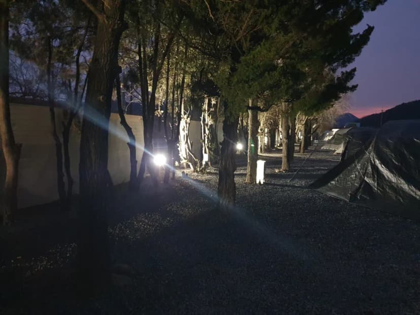 아메리카 RV CAMP PARK 사진 10