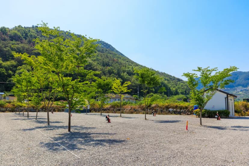 엠와이힐링캠핑장 사진 11