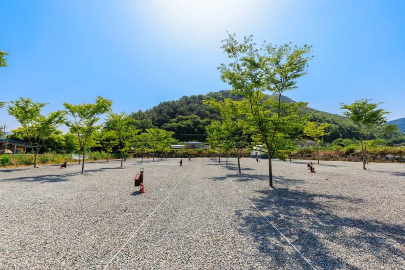 엠와이힐링캠핑장 사진 12