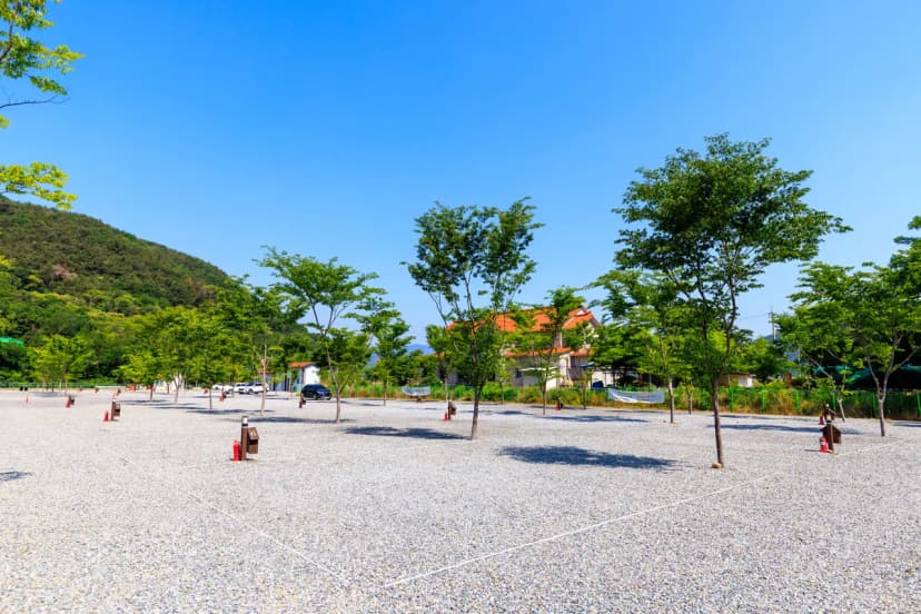 엠와이힐링캠핑장 사진 14