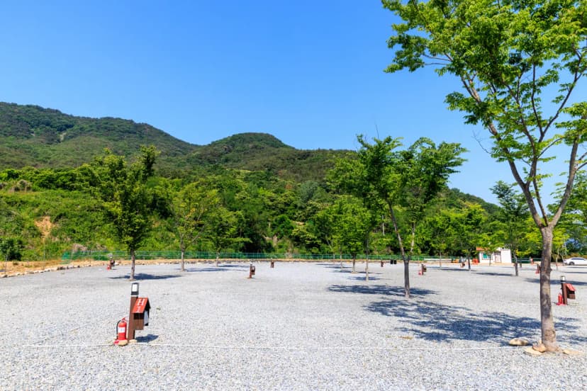 엠와이힐링캠핑장 사진 16