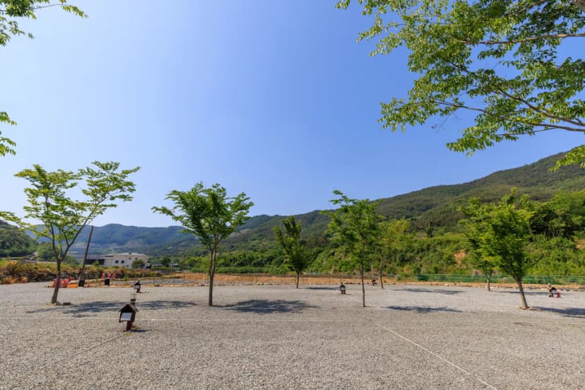 엠와이힐링캠핑장 사진 19