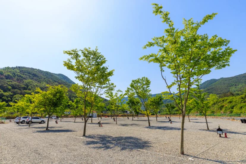 엠와이힐링캠핑장 사진 20