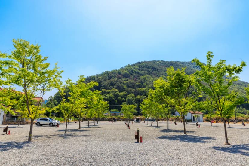 엠와이힐링캠핑장 사진 21