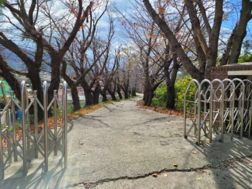 드론스포츠코리아 사진 3