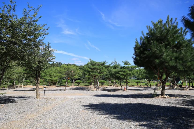 사발소캠핑장 사진 5