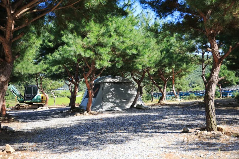 사발소캠핑장 사진 8