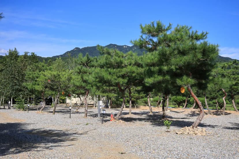 사발소캠핑장 사진 9