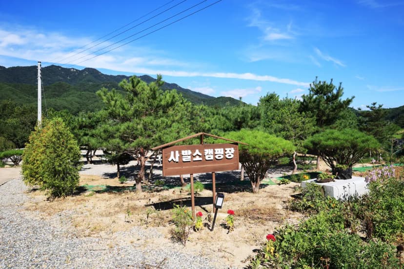 사발소캠핑장 사진 13