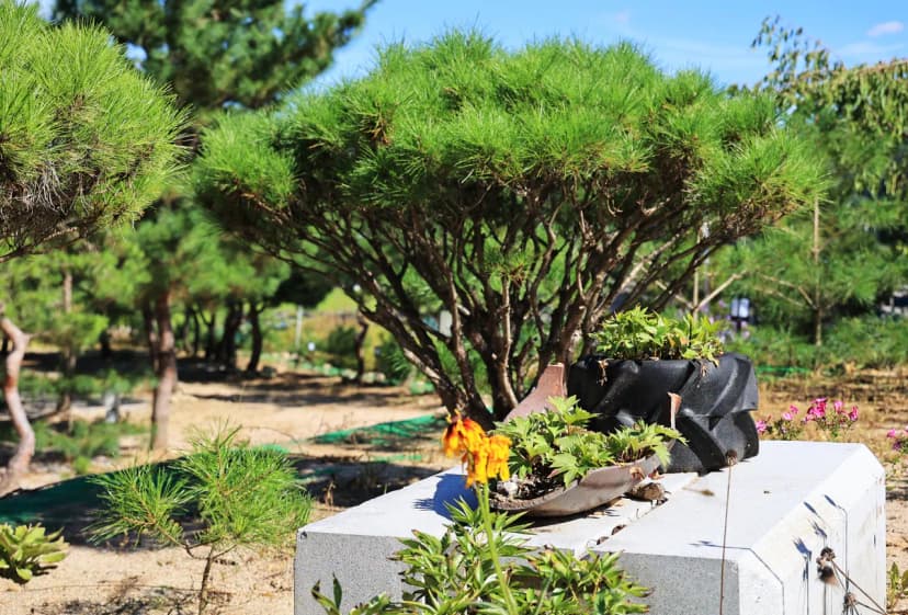 사발소캠핑장 사진 14