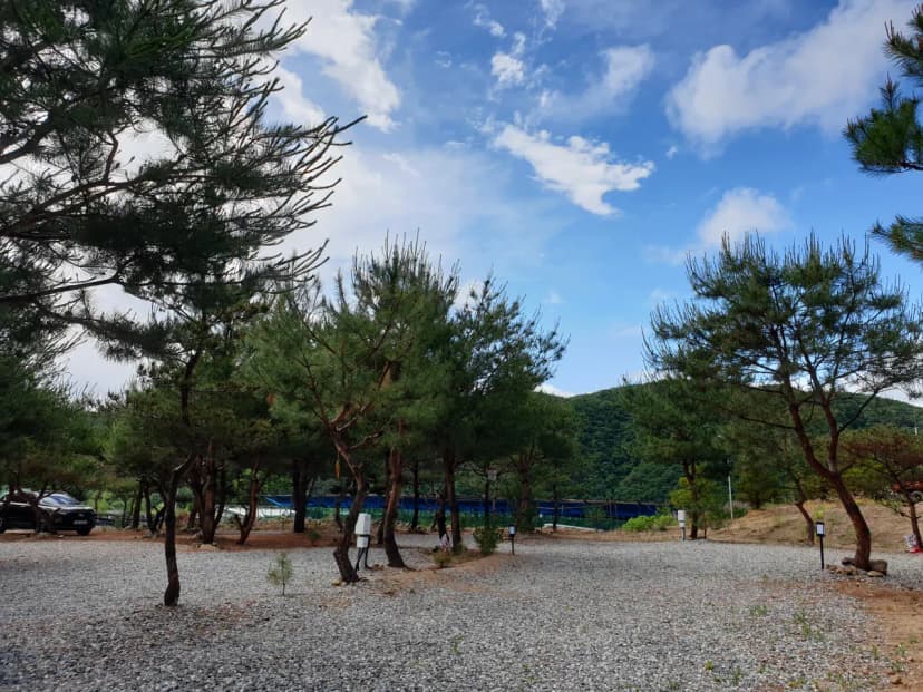 사발소캠핑장 사진 18