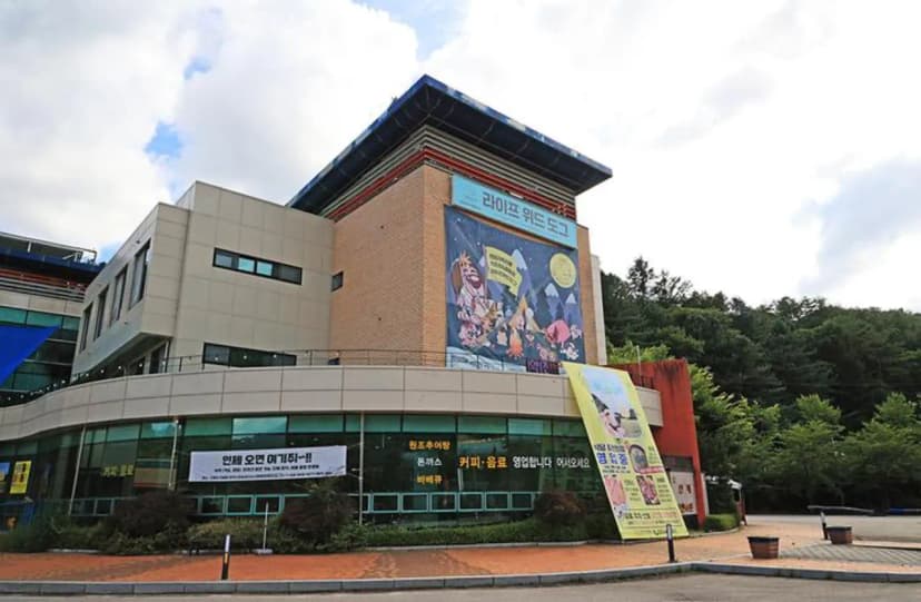 라이프위드도그 사진 3